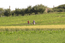 An dificil pentru agricultori