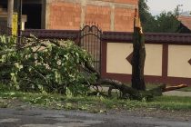 Potopul Sfântului Ilie