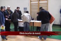 Oferta locurilor de muncă vacante