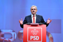 PSD Neamţ, alături de Liviu Dragnea