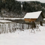 Teren inundat raul Bistrita 2