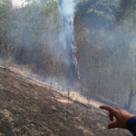 Incendiu vegetatie Tosorog 2