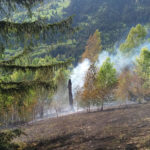 Incendiu vegetatie Tosorog 3