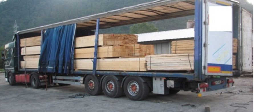 Transport ilegal de material lemnos oprit de polițiști la Tarcău