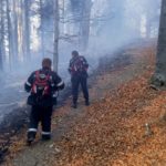 Incendiu de padure Vanatori Neamt