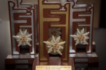 Festivalul – concurs național ”Florile Ceahlăului”, a XXXI-a ediție