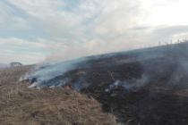 10 hectare de vegetație au ars, astăzi, pe muntele Pietricica