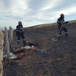 Incendiu vegetatie Pietricica Piatra Neamt (2)