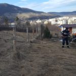 Incendiu vegetatie Pietricica Piatra Neamt (5)