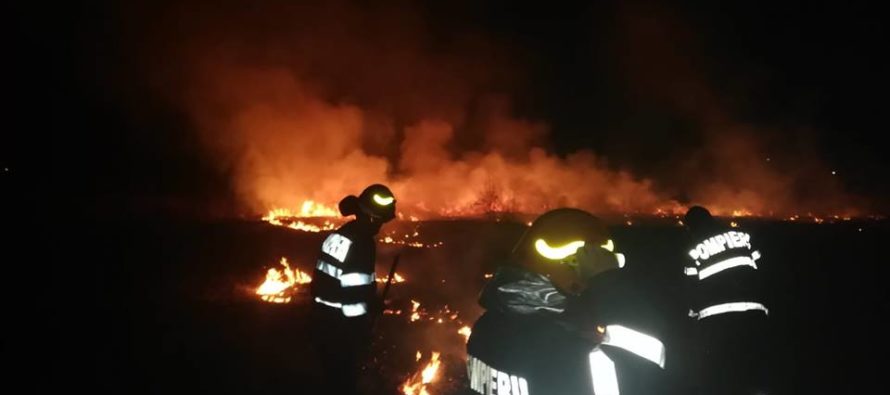 2 tone de furaje au ars, noaptea trecută, în comuna Crăcăoani