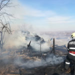 Incendiu adapost de animale (11)