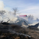 Incendiu adapost de animale (22)