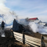 Incendiu adapost de animale (44)