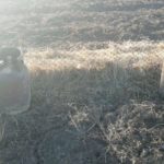 Incendiu locuinta Izvoare - Dumbrava Rosie (1)