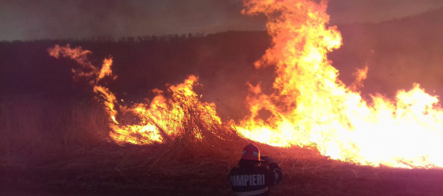 6 tone de gunoi au ars la Roman din cauza unei ”țigări aruncate la întamplare”