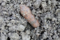 Arsenal de muniție neexplodată descoperit în pădurea Arinosu, comuna Ion Creangă