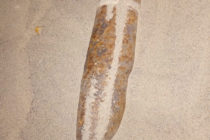 Proiectil descoperit pe malul unui râu, în comuna Pipirig