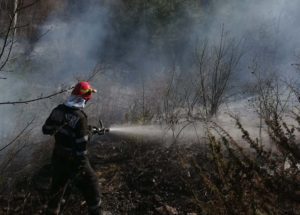Incendii vegetatie Neamt 5-7 aprilie