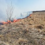 Incendiu vegetatie Negresti