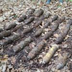 ISU proiectile neexplodate Brusturi (7)