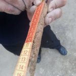 Dinamita neexplodata Stefan cel Mare (2)