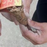 Dinamita neexplodata Stefan cel Mare (3)