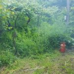 Incendiu locuinta satul Bistrita (1)