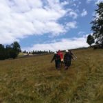 Barbat decedat rasturnat cu tractorul (3)