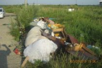 Amendați pentru că au depozitat ilegal deșeuri în cartierul Speranța