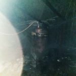 Incendiu anexa Manastirea Nechit 2