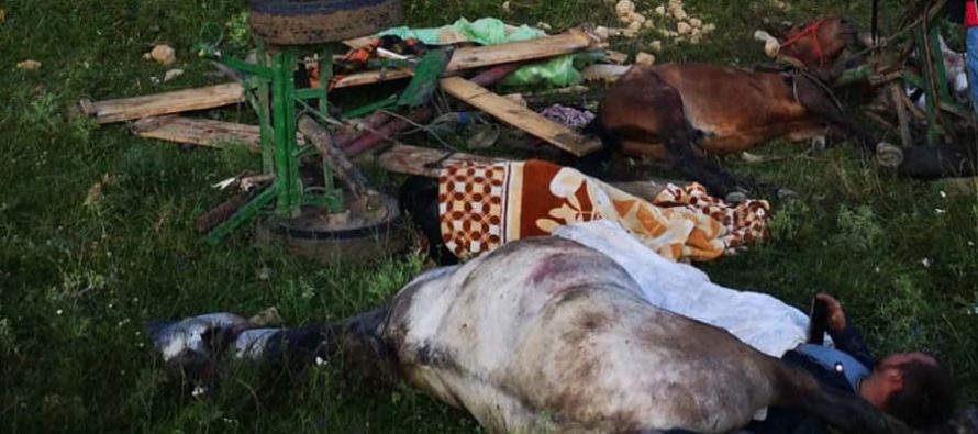 4 tineri au căzut cu căruța într-o prăpastie, în apropiere de Tupilați