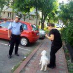 actiune amenzi politia locala (1)