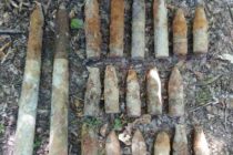 Un alt arsenal de muniție neexplodată descoperit în pădurea Poiana, com. Brusturi