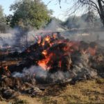 Incendiu baloti de paie 3 gospodării Brolesti (3)
