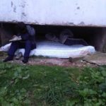 combaterea cersetoriei si a faptelor antisociale (3)