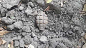 grenada descoperita in curtea casei