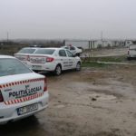 combatere cersetorie si fapte antisociale politia locala (2)