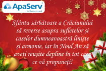 Felicitare de Crăciun APASERV SA