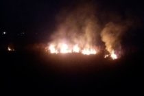 5 hectare de vegetație uscată au ars, ieri, în Anexa Văleni din municipiul Piatra Neamț