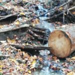 gropi de gunoi ilegale Piatra Neamt (1)