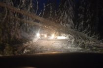 Drumul Lacul Roșu – Gheorgheni a fost închis temporar