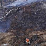 Incendiu vegetatie uscata Pipirig (2)