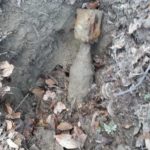 Munitie neexplodata padurea Nemtisor (3)