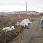 aruncat deseuri cartierul Speranta (1)