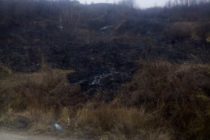 Incendiu de vegetație provocat de o țigare aprinsă