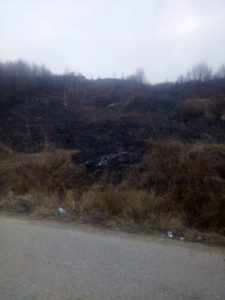 incendiu de vegetatie fumat Roznov