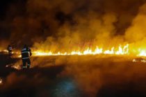 8 hectare de vegetație uscată au ars, seara trecută, în comuna Făurei