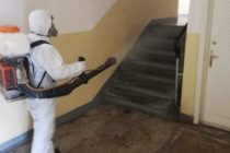 Primăria Piatra Neamț continuă activitățile de dezinfecție în oraș