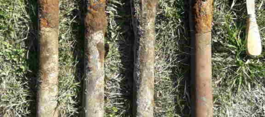 4 proiectile din Al Doilea Război Mondial descoperite într-o pădure din Păstrăveni