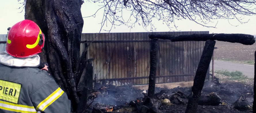 Incendiu la o stână din Ingărești, 11 animale au ars de vii